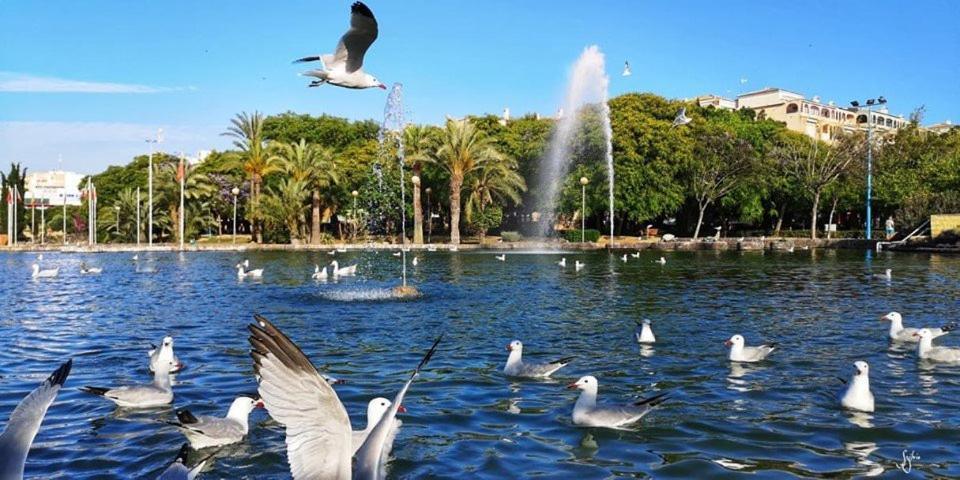 شقة Torrevieja Experience Mar 2 المظهر الخارجي الصورة